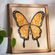 imageUrl_9