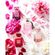 imageUrl_6