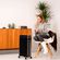imageUrl_6