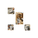 imageUrl_4