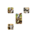 imageUrl_4