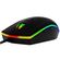 imageUrl_5