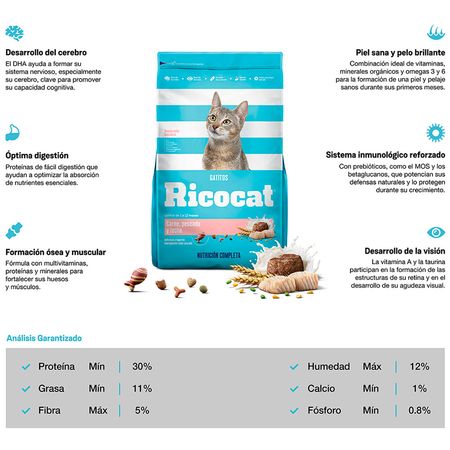 Comida Para Gatos Ricocat Gatitos Carne Pescado Y Leche Bolsa 500g Plazavea Supermercado