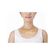 imageUrl_2
