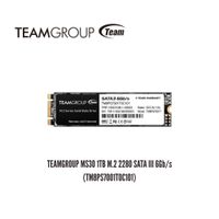 UNIDAD EN ESTADO SOLIDO TEAMGROUP MS30 1TB M.2 2280 SATA III 6GB-S