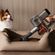 imageUrl_10