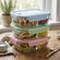 imageUrl_5