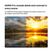imageUrl_4