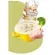imageUrl_2