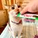 imageUrl_2