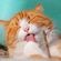 imageUrl_3