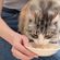 imageUrl_2
