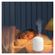 imageUrl_7