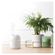 imageUrl_6