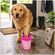 imageUrl_3