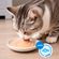 imageUrl_4