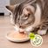 imageUrl_4