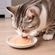 imageUrl_4