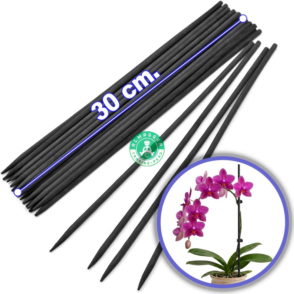 Tutor De Bambú 30cm. - x 24 Und. - Plantas - Orquídeas