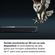 imageUrl_7