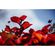 imageUrl_2