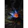 imageUrl_9