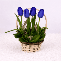 Mini Canasta Deysi - flores azules - Arreglo floral