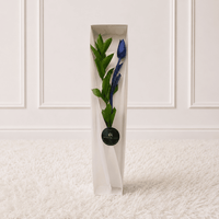 Caja de 1 Tulipán Azul - Flores azules - Arreglo floral