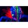 imageUrl_10