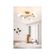 imageUrl_3