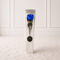 caja de 1 rosa azul - Flores azul - Box floral
