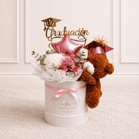 Box Aveline - peluche - topper - Graduación