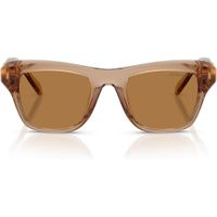 SWAROVSKI LENTES DE SOL SK6056U 50 MM MUJER | TRANSPARENT BEIGE/BRONZE