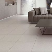 Piso Gress Cementicio Gris Claro 60x60cm 1.44m2 Orange