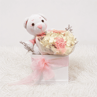 Box Luna - Peluche de oso