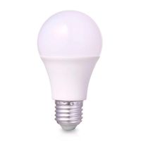 Foco LED E27 10W Luz Fría Orange