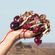 imageUrl_5