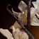 imageUrl_5