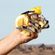 imageUrl_6