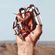 imageUrl_5