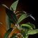 imageUrl_5