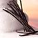 imageUrl_6