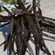 imageUrl_6