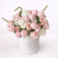Box Sophia - Rosas Inglesias