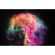 imageUrl_7