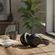 imageUrl_6