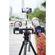 imageUrl_7