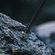 imageUrl_10