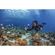 imageUrl_10