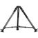 imageUrl_7